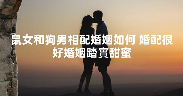 鼠女和狗男相配婚姻如何 婚配很好婚姻踏實甜蜜